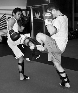 Boxing, Lloyd Irvin Jiu Jitsu, Judo, CrossFit, Women's Fitness