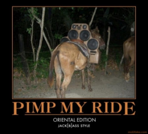 pimp-my-ride-oriental-edition-jackass-bass-donkey-mule-demotivational ...