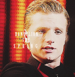 spring. The bright yellow that means rebirth instead of destruction ...