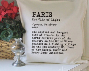 Paris typographical pillow cover