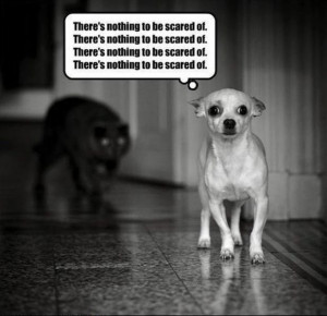 Random Quotes, Sayings and Inspirational Stuff (174 pics)