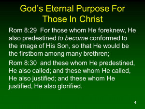 Gods Purpose Quotes 4 Gods Eternal Purpose For