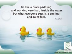 Smile Quote # 32: “Be Like a Duck, Paddling and Working very Hard ...