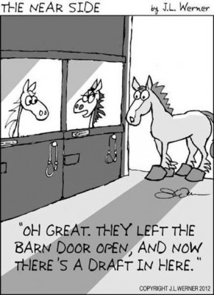 little horsey humor... ba dum dump!