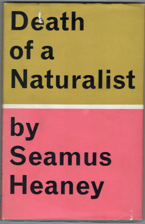 Seamus Heaney And Pieces Of Poetic Wisdom From A Passing In Pink And ...