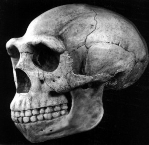 ... quote by famed holohoax survivor Elie Wiesel which confirms 100% that