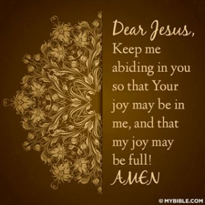 Abide in the Lord and your joy will be full.