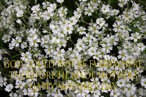 dedmanshootn › Portfolio › jewish mothers quote mother's day card