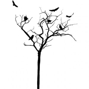 graphics black and white quotes black and white images a