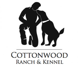 Professional Dog Training & Boarding