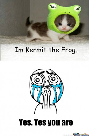 Im Kermit the Frog