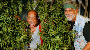 CHEECH AND CHONG comedy humor marijuana weed 420 r wallpaper ...