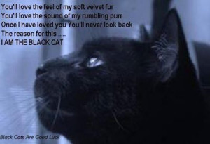 black cat poem