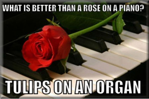 Funny Memes – [What Is Better Than A Rose On A Piano…]