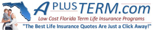 Free and Fast Term life Insurance Quotes from APlusTerm.com