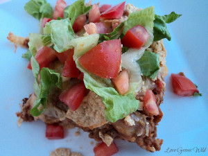 like mine topped with a good dollop of sour cream.