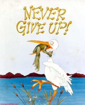 Funny Picture With Nice Quote Never Give Up Cute Picture