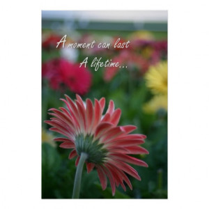 pink gerbera daisy flower quote poster flower quote picture quote
