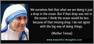 Beautiful-Thoughts » We ourselves feel that what we are doing is just ...