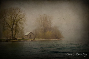 through the fog there are your fog people your sun people he said i ...