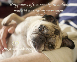 ... friends and family. Hope you are too! Love to you all! Pugs and Kisses