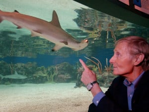 ... hosted Shark Week celebrating the 20-year anniversary of his novel