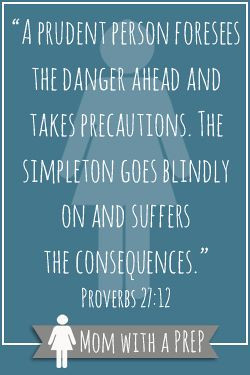 prudent person foresees the danger ahead and takes precautions. The ...