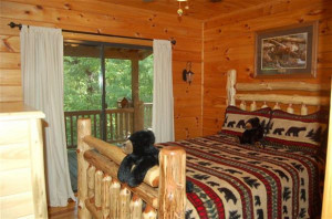 Bear Necessities Cabin Rental Image 920