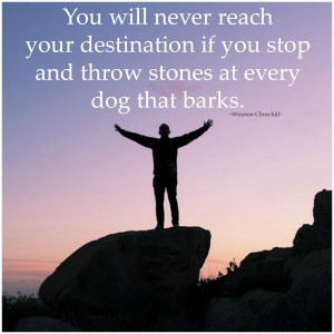 ... you stop and throw stones at every dog that barks.~ Winston Churchill