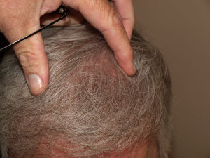 Related Pictures Daniel Tosh Quotes Stand Up Comedians Browse Comedy