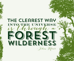 Forest quote