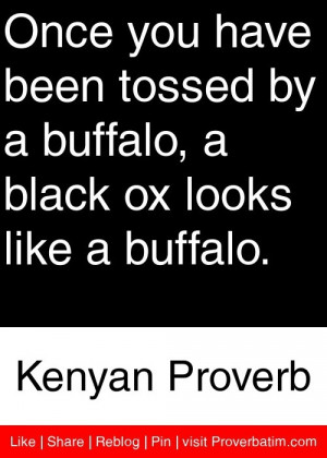 ... black ox looks like a buffalo. - Kenyan Proverb #proverbs #quotes