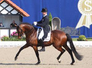 Horses & Dreams Meets Germany CDI3* Starts at Hagen