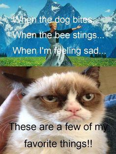 Grumpy cat jokes, grumpy cat quotes, funny grumpy cat quotes, grumpy ...