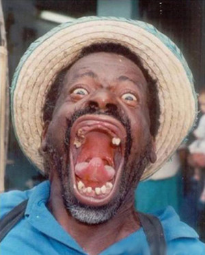 Funny Faces Images Funny Images for Facebook of Babies of Animals for ...