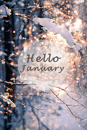 Goodbye December Hello January