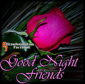 Goodnight Wishes To You new
