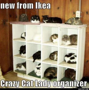 ... : Hiding Your Inner Crazy Cat Lady (aka do what I say, not what I do