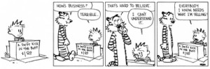 CALVIN AND HOBBES QUOTES PRINCIPLES