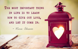 The most important thing in life is to learn how to give out love and