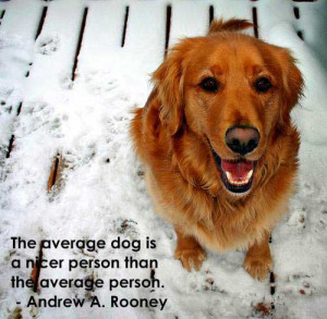 Best Dog Image Quotes And Sayings