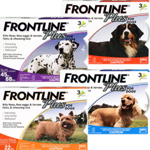 Frontline Plus (Click for Larger Image)