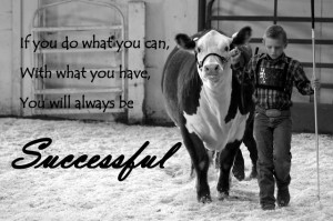 Success is Reason Enough: Why showing cattle matters.