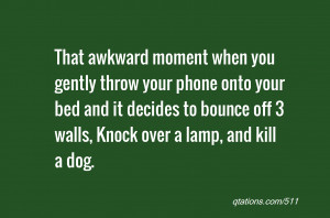 ... it decides to bounce off 3 walls, Knock over a lamp, and kill a dog