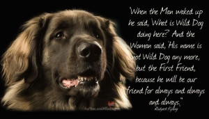 Quotes About Dogs Being Best Friends Dogs really are man's best