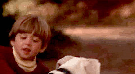 But it's true. Cats are smarter than dogs, and more attractive... and ...