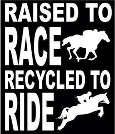 Raised To Race; Recycled To Ride (Off Track Thoroughbred) Horse Decal ...