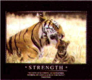 tiger strength