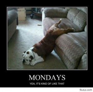 Today is Monday - Funny Pictures, Funny Quotes, Funny Videos - 9LoLs ...