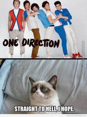 ... Picture - One direction - Straight to hell i hope, says grumpy cat